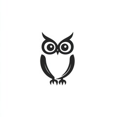 Fototapeta premium Simple owl illustration, white background, wisdom symbol, education design
