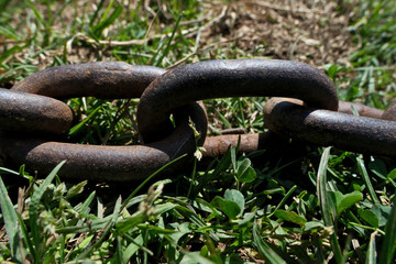 Rusty chain on green grass, close-up. Rusty chain on the green grass background. Selective focus.