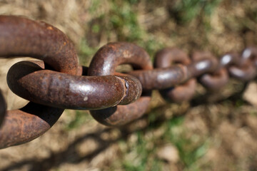 Rusty chain on green grass, close-up. Rusty chain on the green grass background. Selective focus.