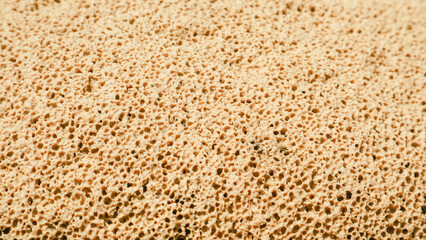 Texture pumice stone as background 