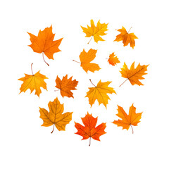 Autumn leaves design template