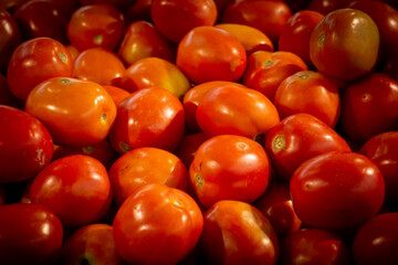red tomatoes at the market