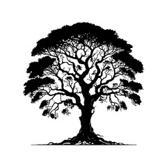 Fototapeta premium tree silhouette vector style