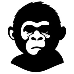 Silhouette portrait of a baby kingkong