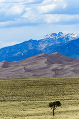 Obraz premium Colorado, Great Sand Dunes with mountains in the background, USA