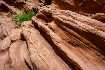 Little Wild Horse Canyon, San Rafael Swell, Eroded by water and wind cliffs in the canyon, Utah