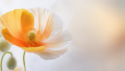 Orange poppy flower Generated image