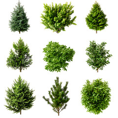 Close up green plants grid pattern background