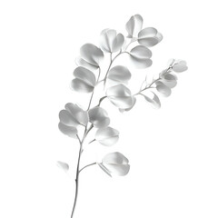 Close up plant branch monochrome image for stock