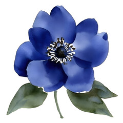 Closeup blue flower image high quality