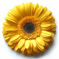 Closeup bright yellow flower image