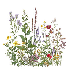 Closeup colorful plants botanicals