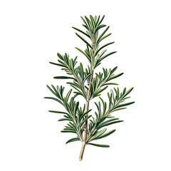 Fototapeta premium Closeup detailed green plant leaf