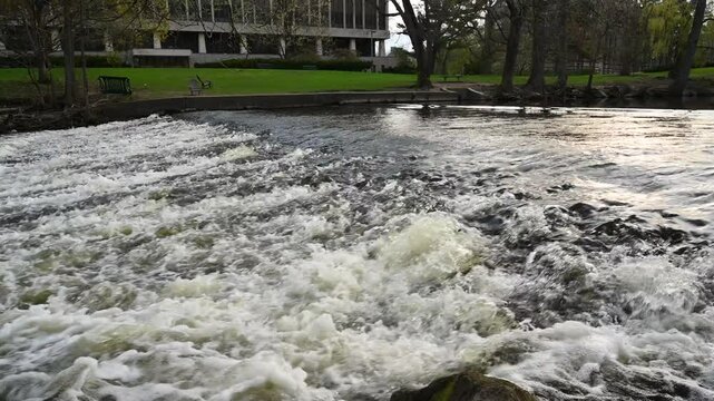 Rapids on the Red Cedar River at Michigan State University
