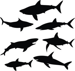 "Dynamic Shark Silhouette Collection Featuring Great White, Hammerhead, and Ocean Wildlife Scenes Vector Illustration"