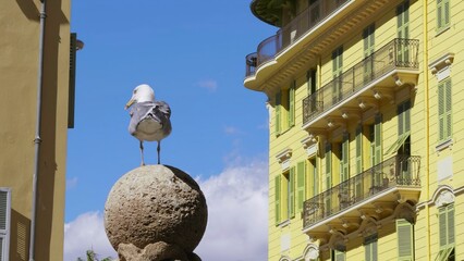 Seagull perched on stone sphere in nice, France. Action