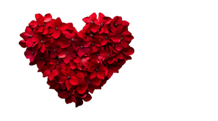 Red flower petals arranged in a heart shape against a black background space