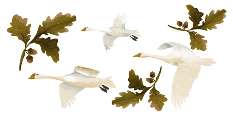 Swan set. Various herbs and flowers, hand-drawn.  Colorful banner. An idea for wallpaper and textiles. Linear drawing. Rustic style.