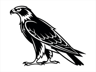 Bold falcon Silhouette Art Design, Stylized Falcon Illustration in Black and White