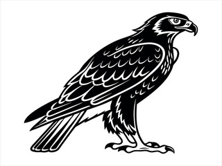 Fototapeta premium Black and White Hawk Silhouette, Stylized Hawk Illustration