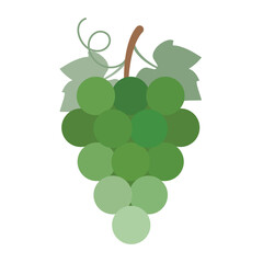 Fresh Green Grapes - Natural Eco Color Palette