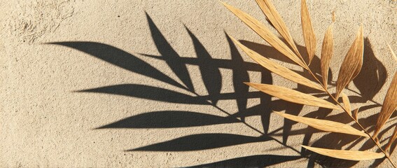 Palm Leaf Shadow on Beige Surface