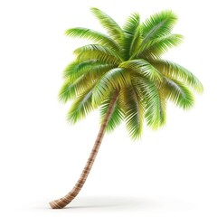 Vibrant, tropical coconut palm tree against a stark white backdrop.