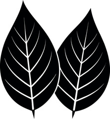 Two Leaves Silhouette | Vector for Natural, Eco-Friendly & Botanical Black Vector