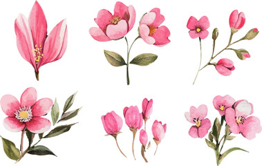 Naklejka premium watercolor set of pink flowers