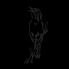 vector silhouette of a bird perched on a tree branch without background