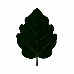 Detailed Dark Green Leaf Illustration