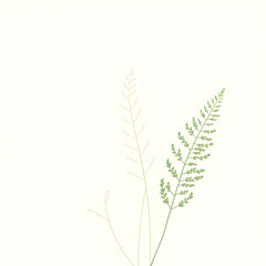 Fototapeta premium Botanical Illustration - ferns in sage and cream for stationery 