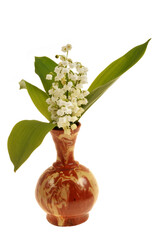 Brins de muguet dans un vase en gros plan isolé sur fond blanc