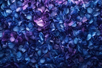 Fototapeta premium Close-up view of vibrant flower petals in shades of blue and purple.