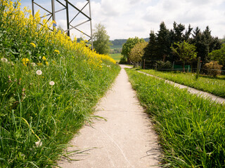 Rural Landscape with Traditional Wooden Houses and Green Meadow under Blue Sky.
A peaceful rural scene featuring traditional wooden houses surrounded by lush green meadows and trees under