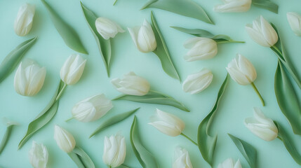 Obraz premium Overhead photo of tulips in soft colors laid across a mint green pastel background
