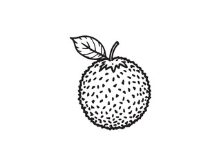 Lychee vector line art illustration