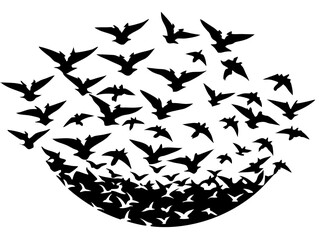 Fototapeta premium Elegant flock of birds flying in a perfect V formation across a golden sunrise sky, minimalist vector