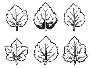 Obraz premium Mayapple Leaf vector line art illustration