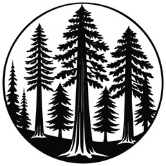 Fototapeta premium Sequota trees icon on white background 