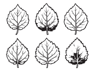 Mulberry leaf vector line art illustration