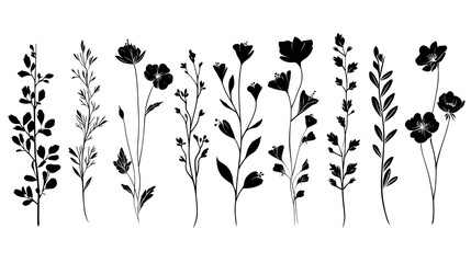 Wildflowers silhouette collection PNG botanical illustration engraving style set