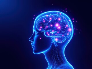 Anatomy of male active brain