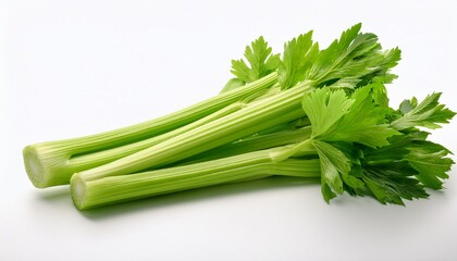 fresh green celery stalks on white background
