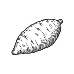 Sweet potato minimalist black and white Vegetable silhouette drawing vector illustration