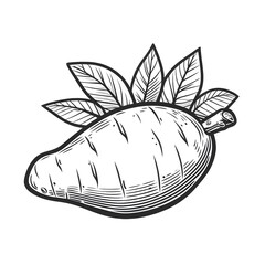 Sweet potato minimalist black and white Vegetable silhouette drawing vector illustration