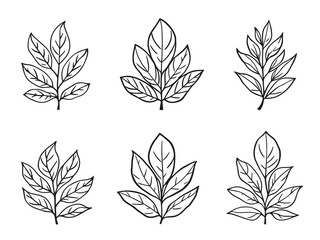 Oleander Leaf vector line art illustration