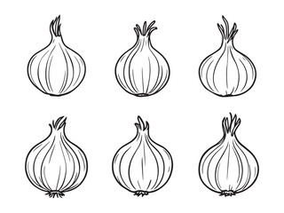 Onion vector line art illustration
