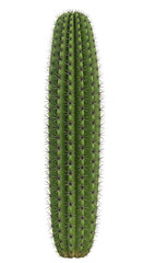 Naklejka premium Green Desert Cactus with Arms on Transparent Background