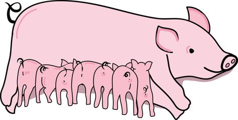 Mother Pink Pig and Piglets